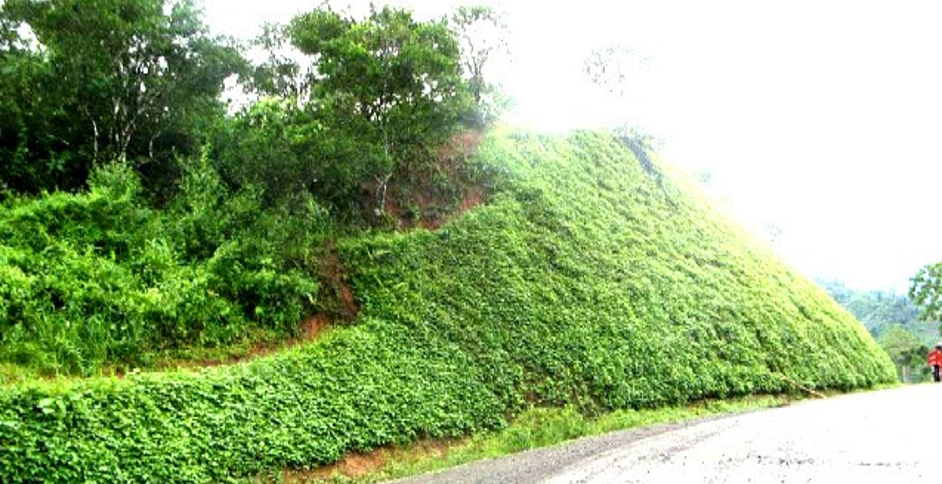 DIDIPIO MINE ACCESS ROAD DIDIPIO MINE ACCESS ROAD