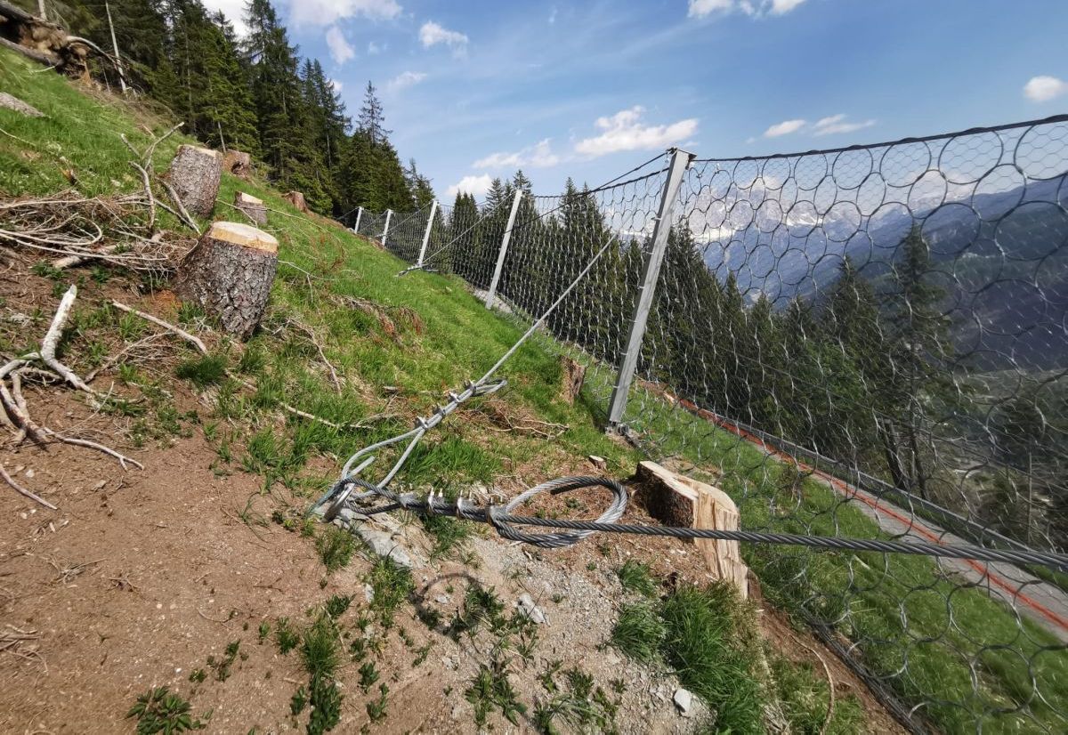 Natural Hazard Mitigation in the Alps Natural Hazard Mitigation in the Alps