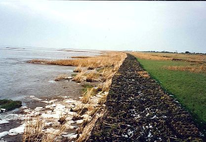50 YEAR OLD GABION STRUCTURE – RIVER HUMBER 50 YEAR OLD GABION STRUCTURE – RIVER HUMBER