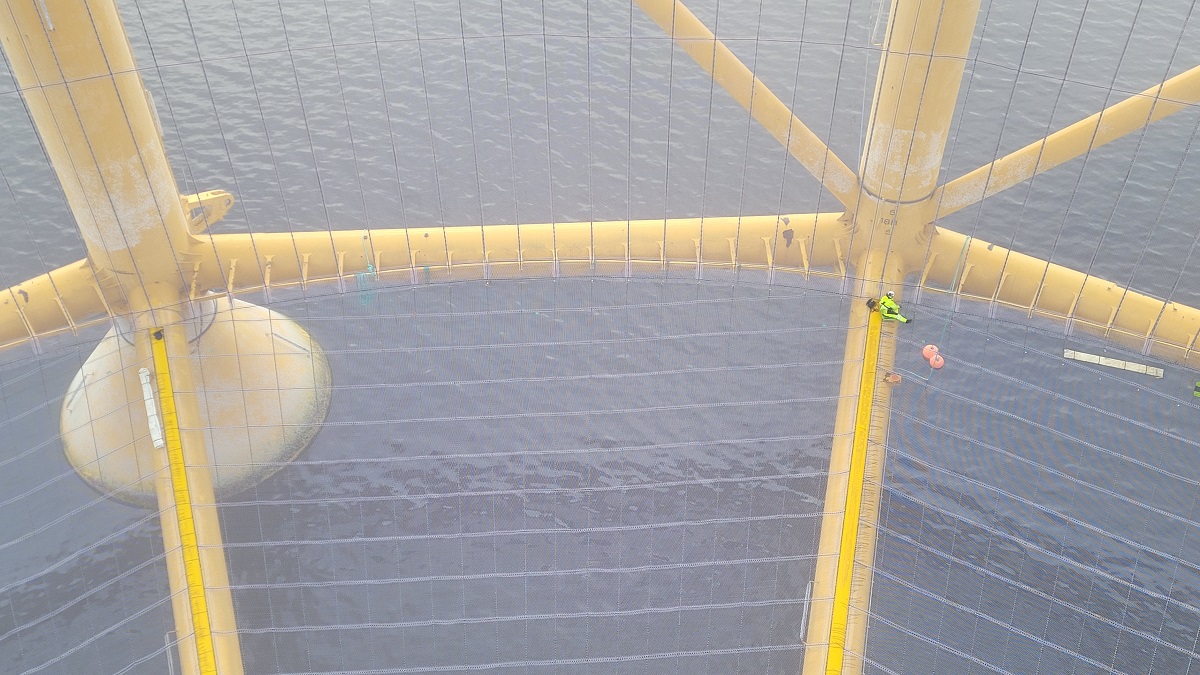Ocean Farm 1 – Supply of KikkoNet Net and Net Structure Ocean Farm 1 – Supply of KikkoNet Net and Net Structure